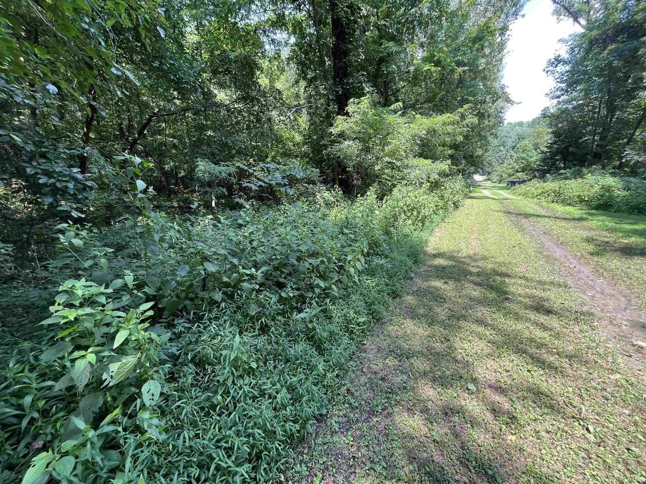 00 Canyon Lake Road - Photo 1