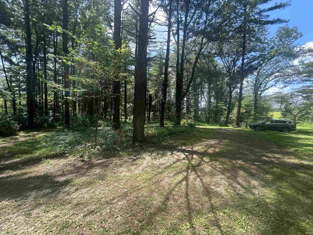 12541 County Road 175 Road - Photo 1