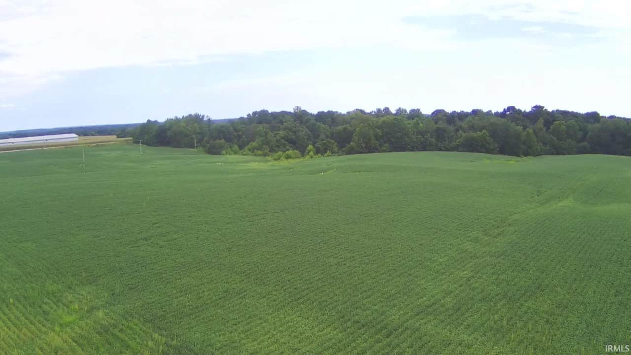  Us Hwy 231 - Photo 1