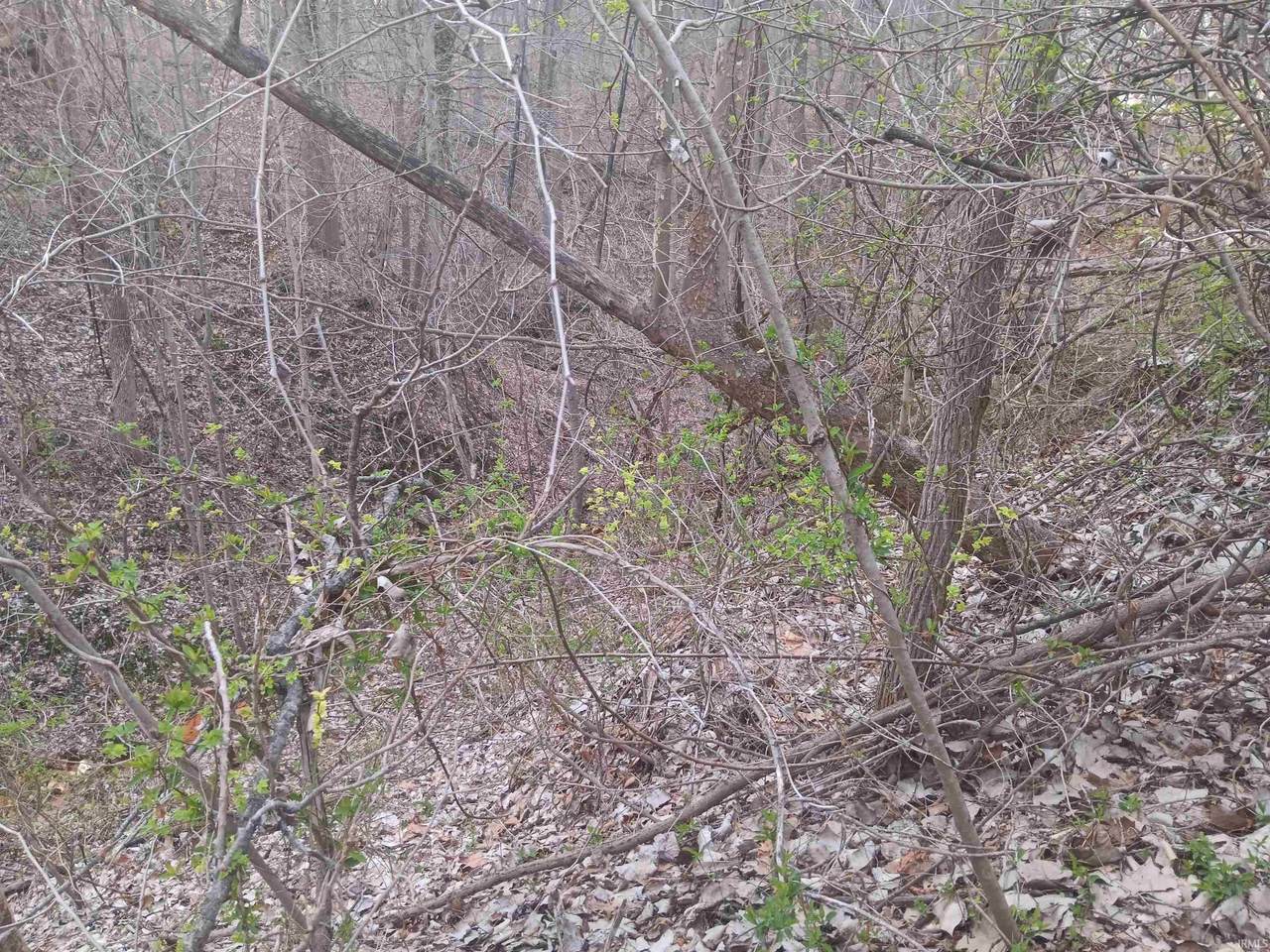 10801 Buckskin Road - Photo 1