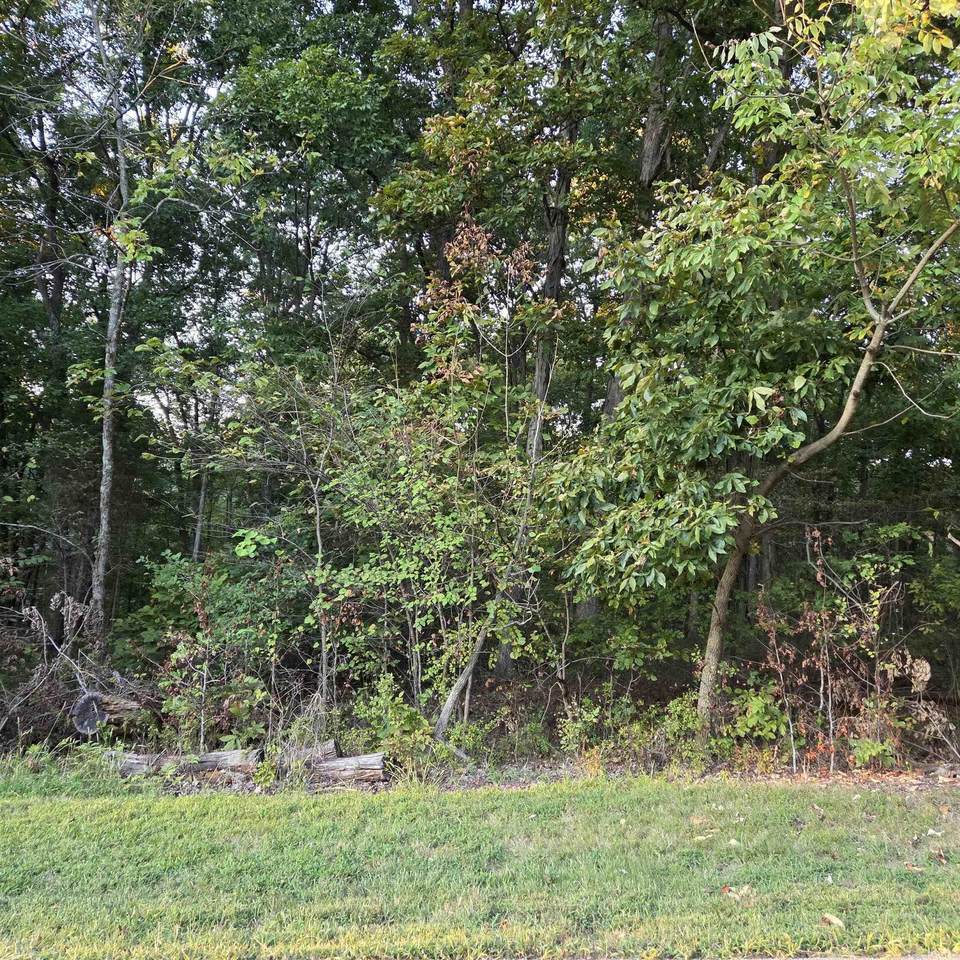 0 Chestnut By The Fire Street - Photo 1