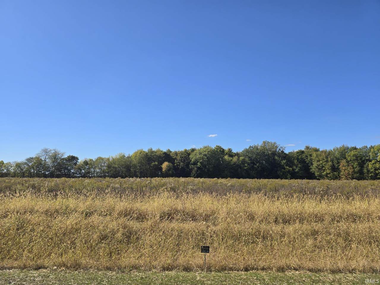 6550 Padre Pio Dr   Lot 9 - Photo 1