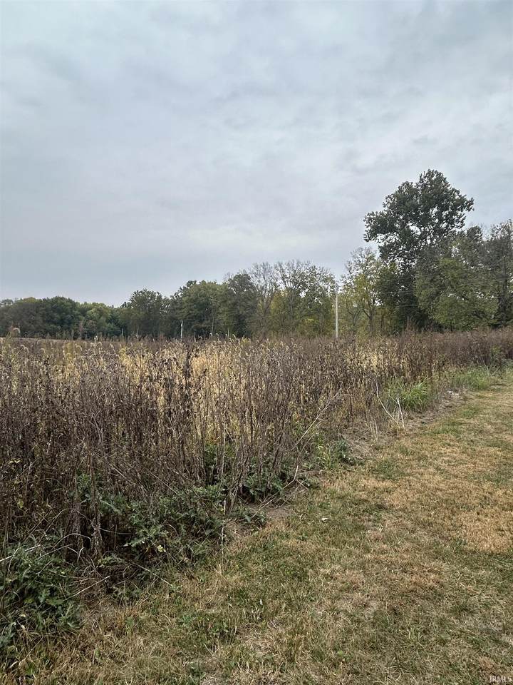  Old Stone Road - Photo 1