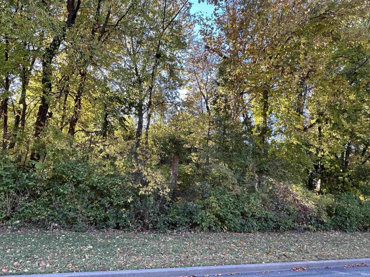 3480 & 3490 St Charles Street - Photo 1