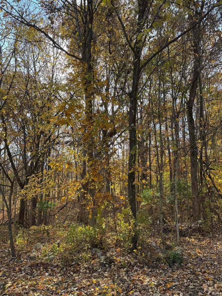 1240 Barnes Drive - Photo 1