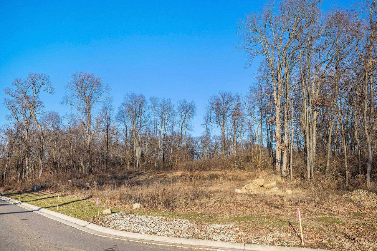 53402 Spring Blossom Court - Photo 1