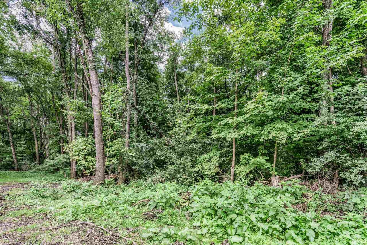 16371 Greystone Drive - Photo 1