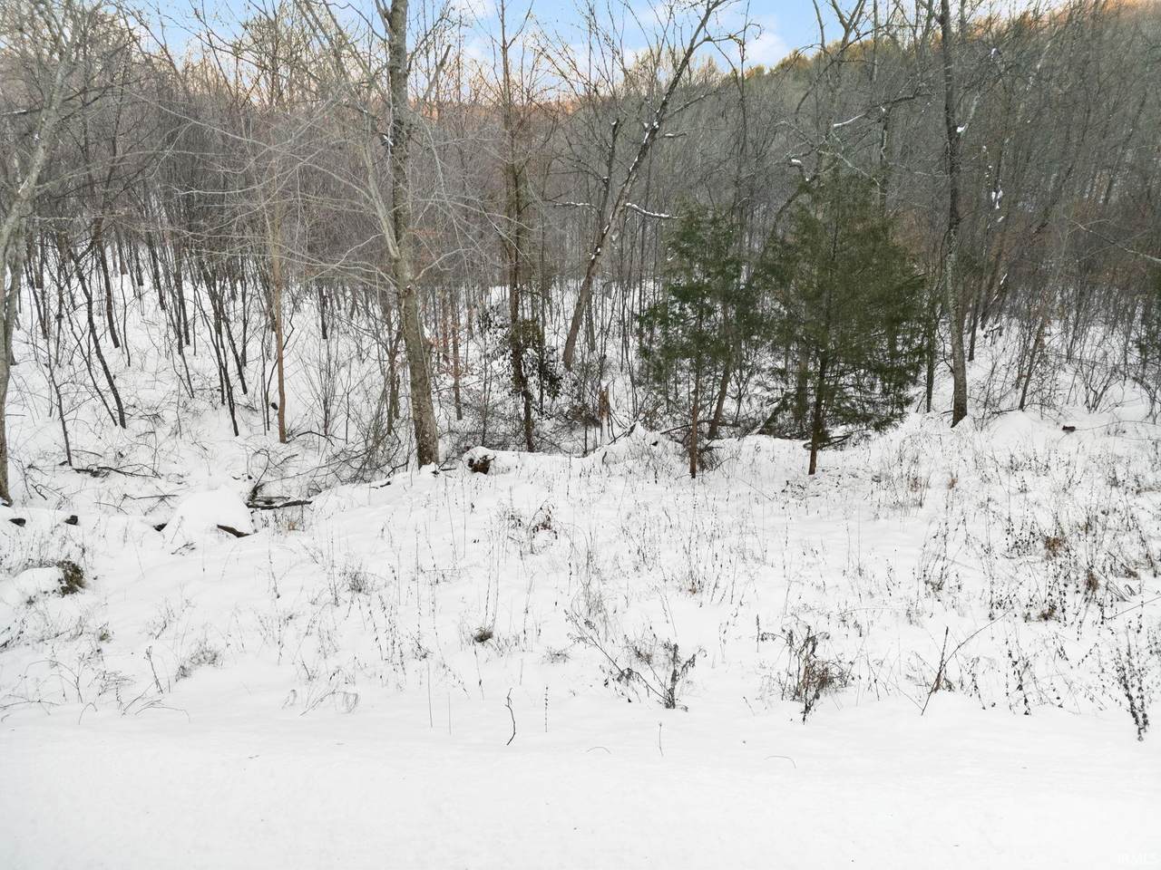 0 Co Rd 150 N Lot #6 - Photo 1