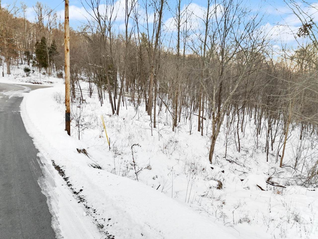 0 Co Rd 150 N Lot #8 - Photo 1
