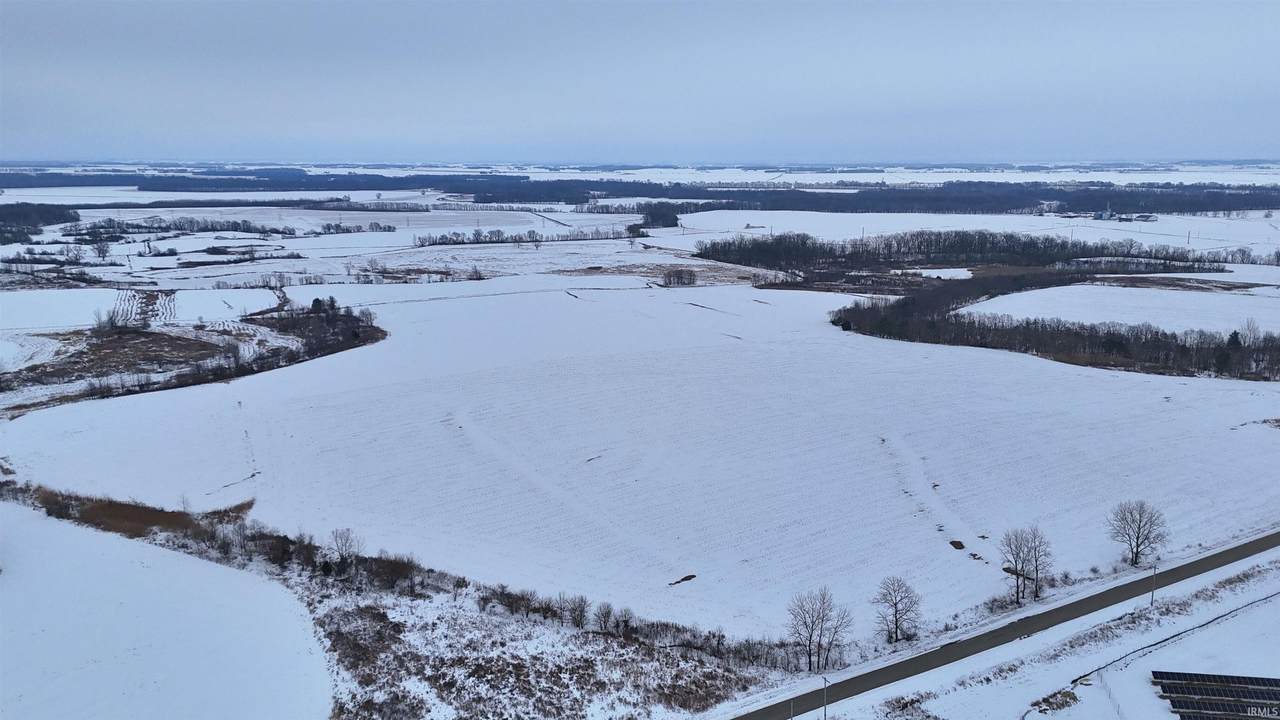 42+/- Acres Wampler Road - Photo 1