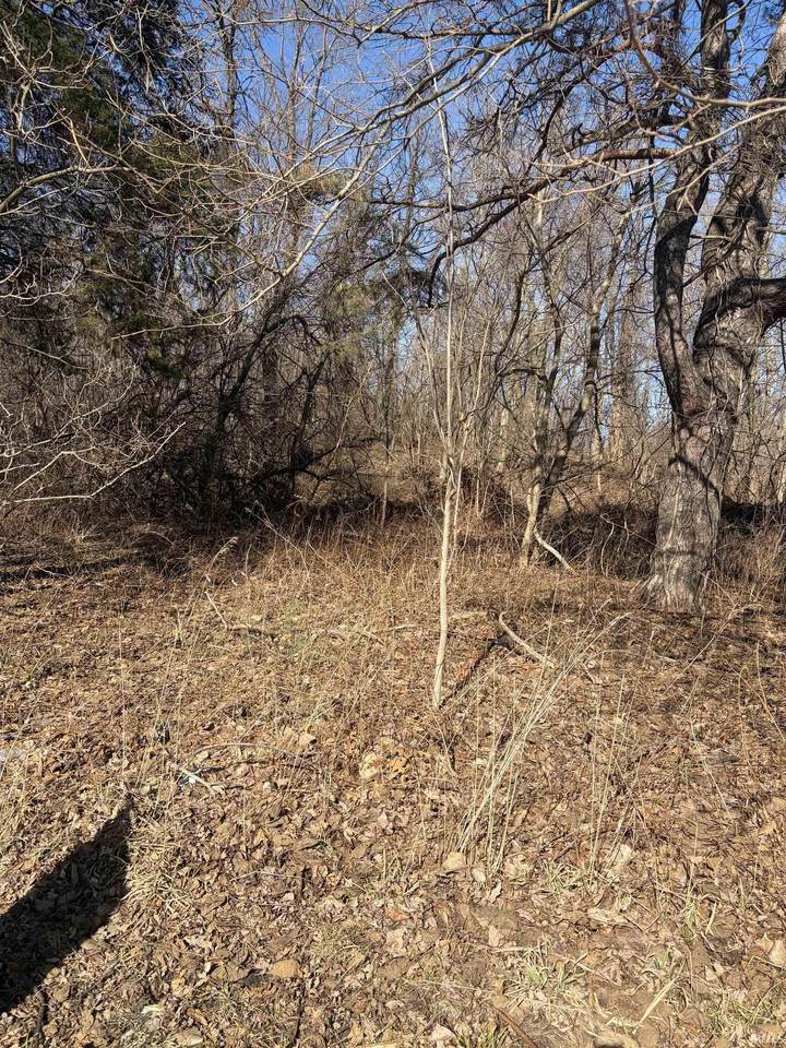 826 Emily Street - Photo 1