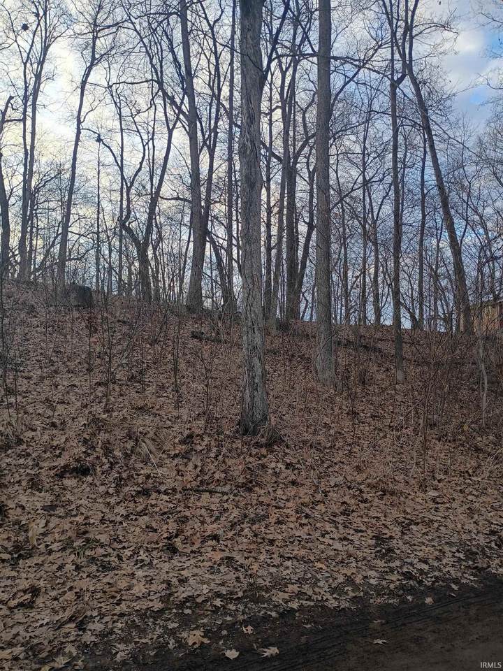 LN 131 C Turkey Lake Lot # 23 &24 - Photo 1