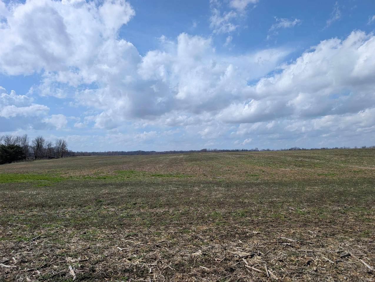 13+/- acres 1200 E - Photo 1