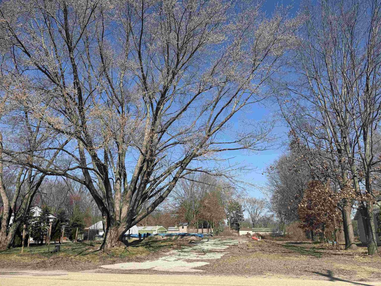 27723 Plainfield Drive - Photo 1