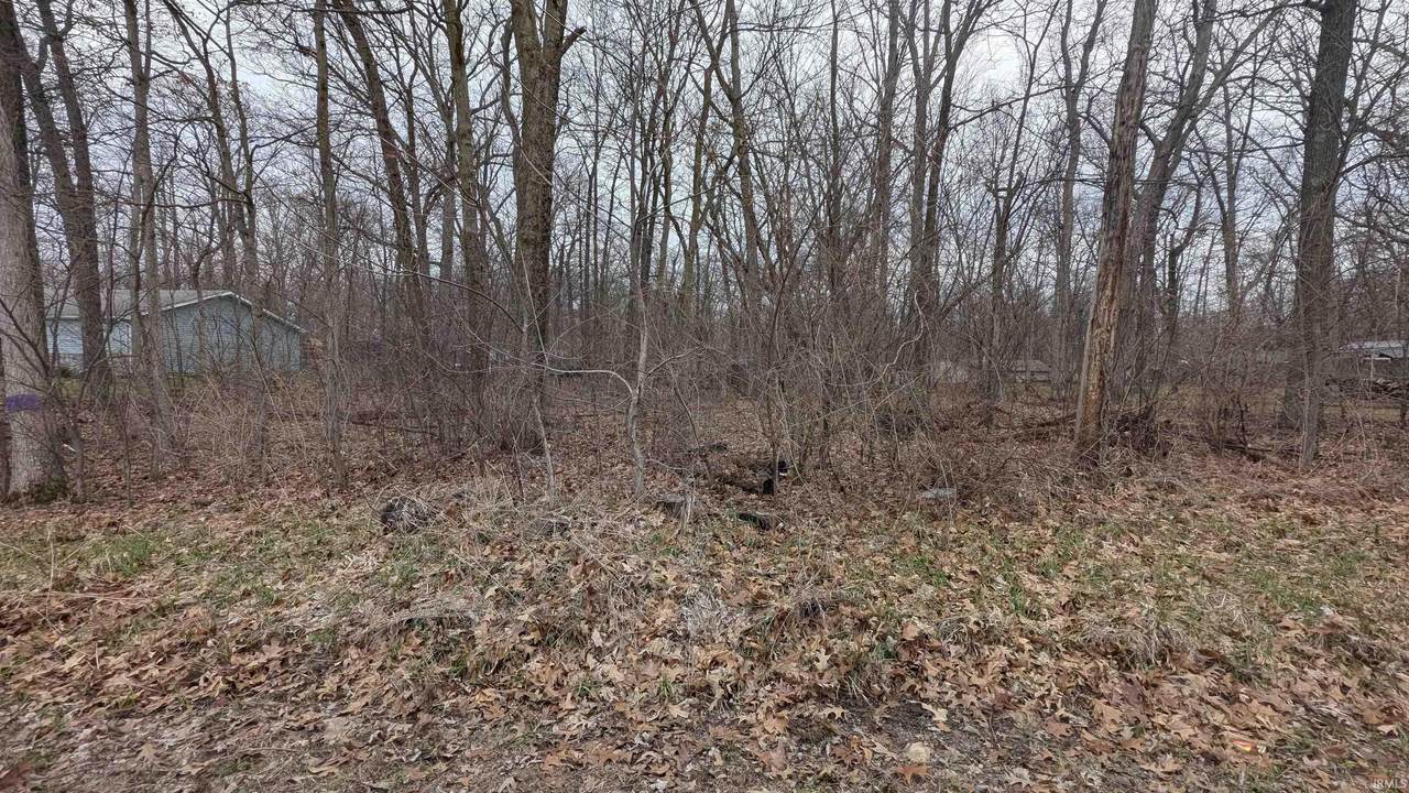  150 E Road - Photo 1