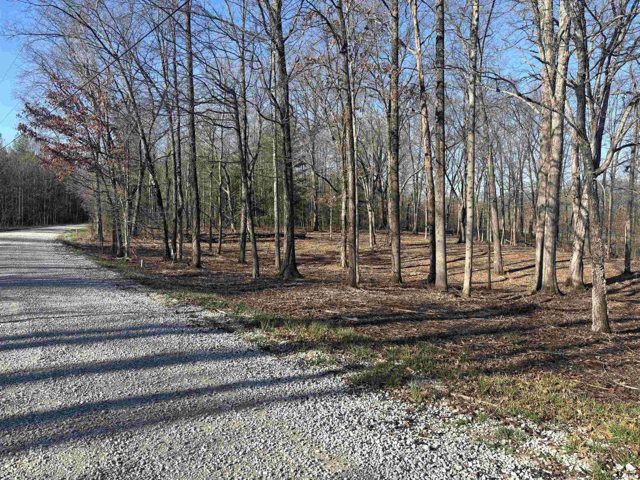 00 Taylor Ridge Road - Photo 1