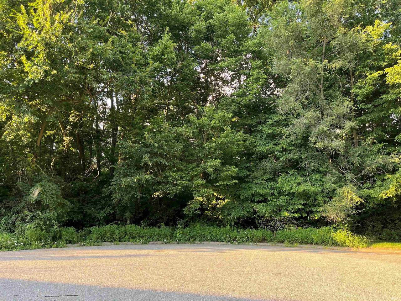 Lot 34 Auburn Estates - Photo 1