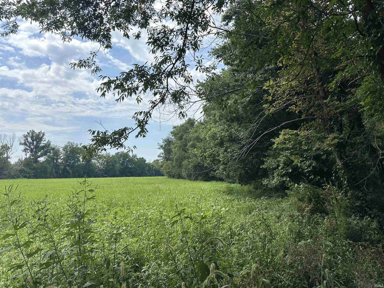 TBD State Road 161 - Photo 1