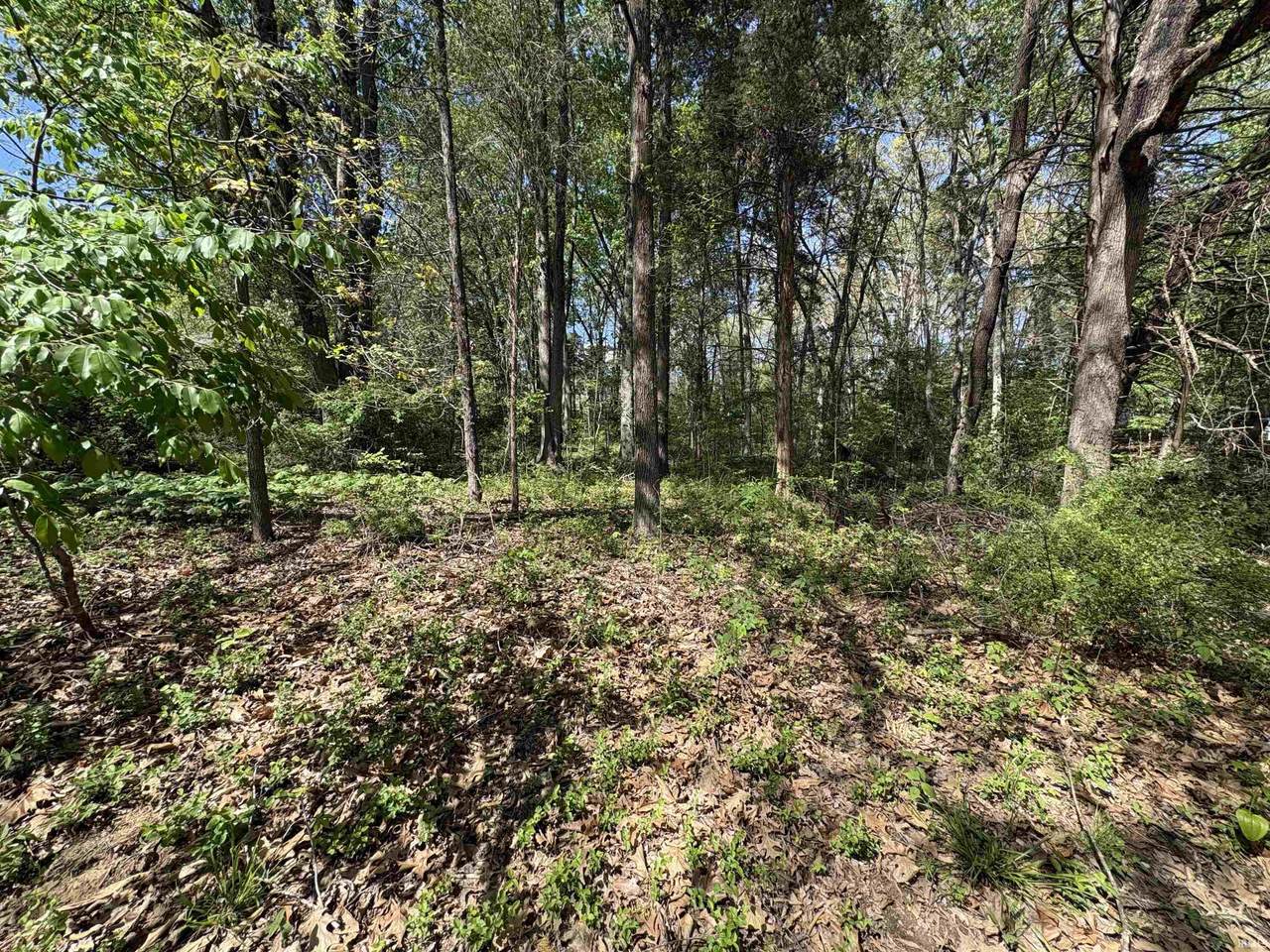 358 Evergreen N Plaza - Photo 1