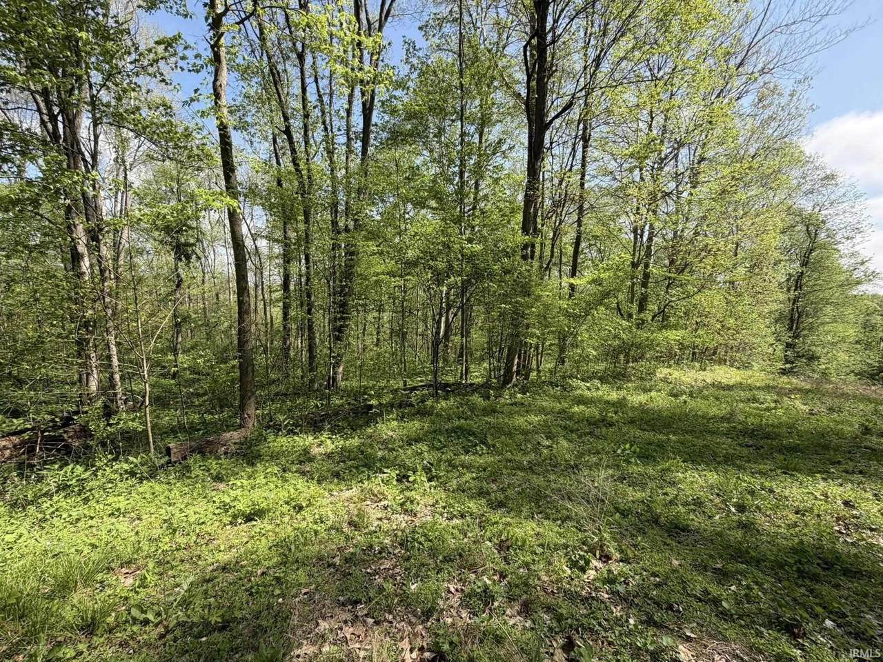 TBD Coon Path Road - Photo 1
