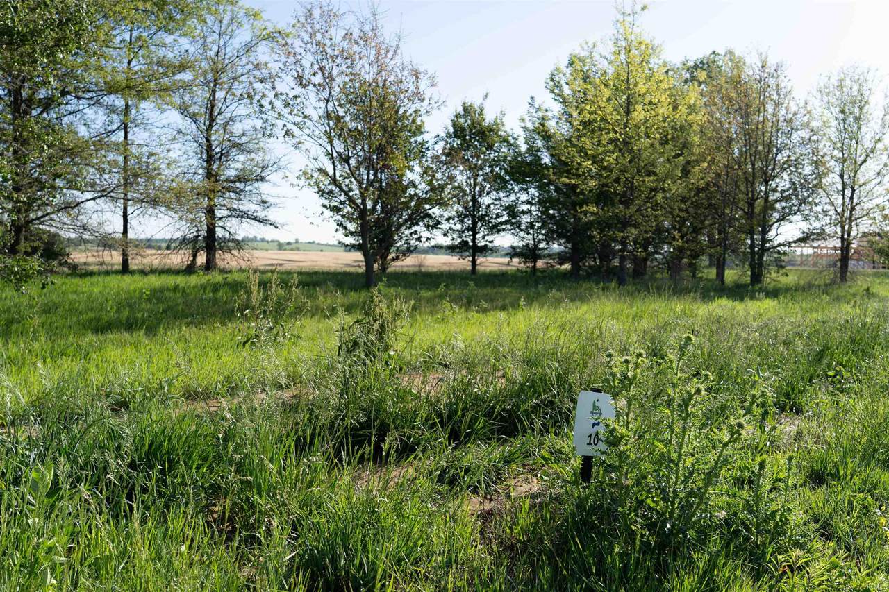 9925 Ayrshire Road - Photo 1