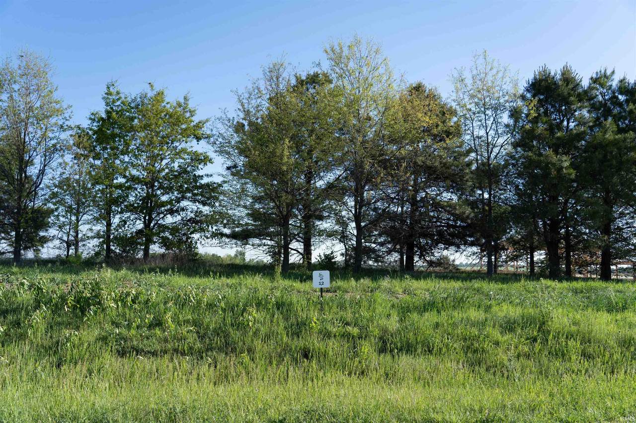9865 Ayrshire Road - Photo 1