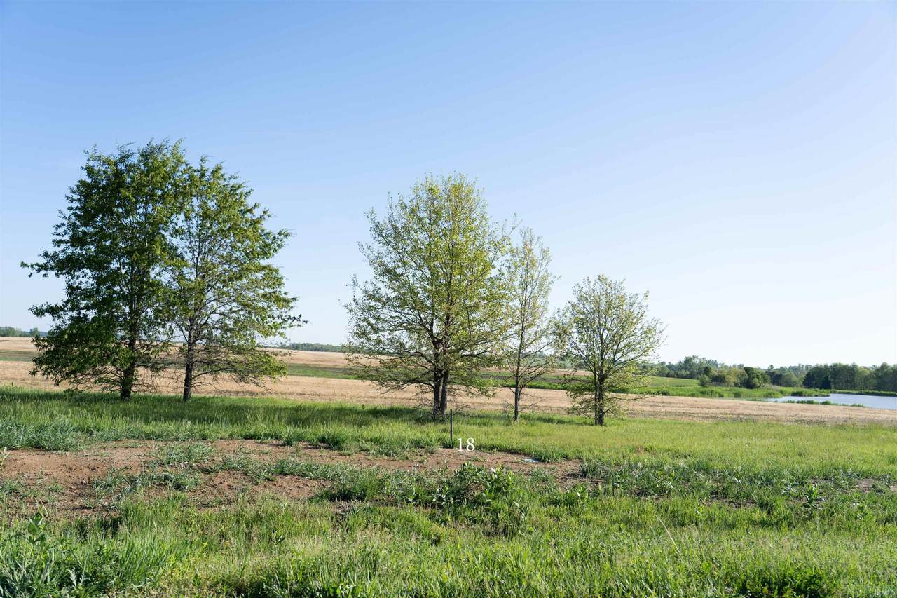 9685 Ayrshire Road - Photo 1