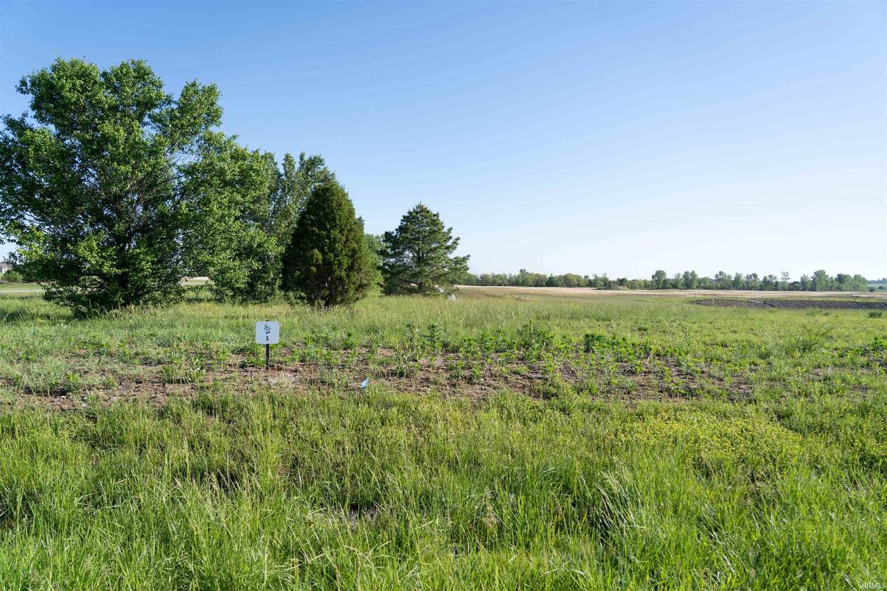 Lot 1 Bluegrass - Photo 1