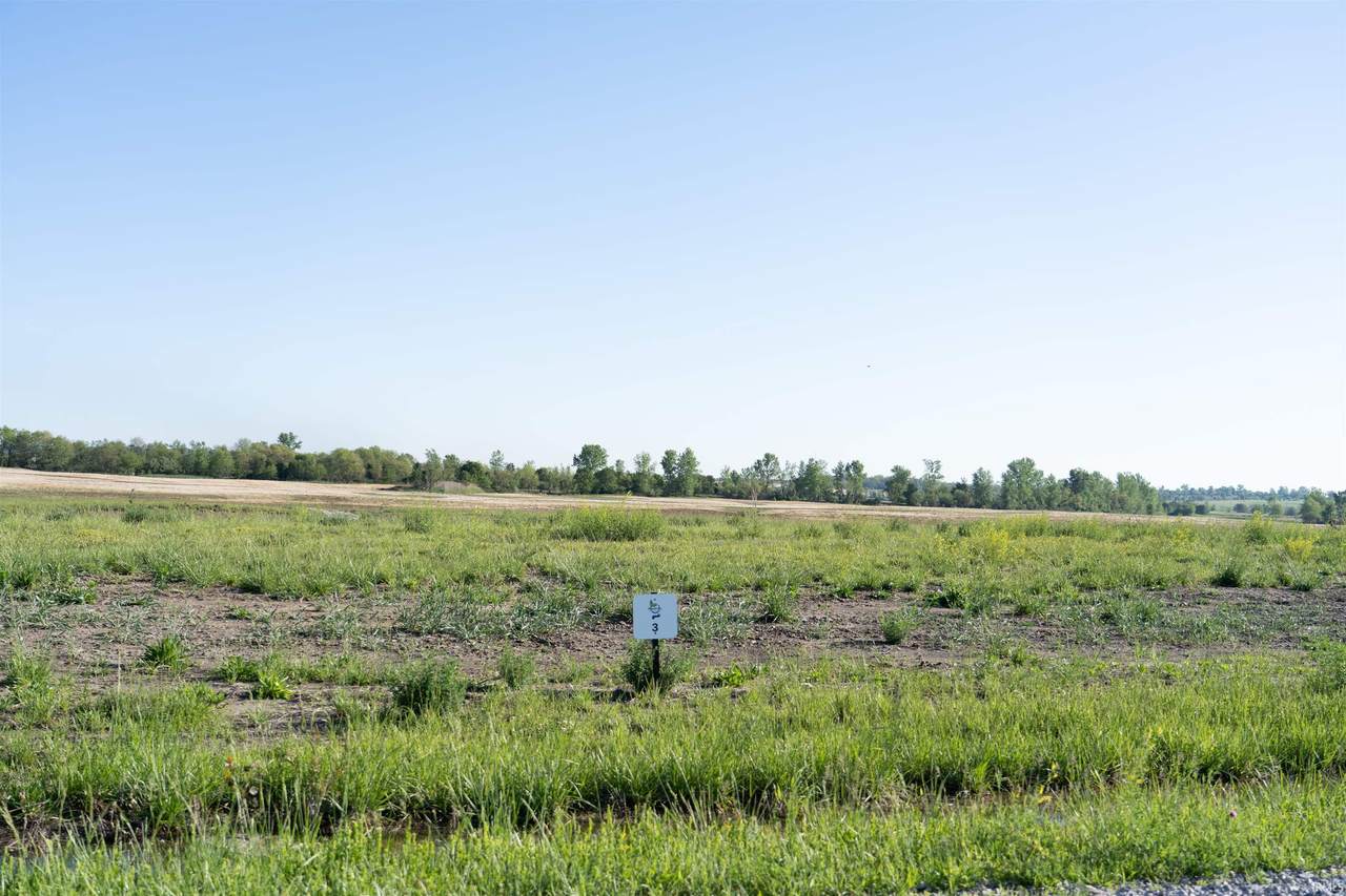Lot 3 Bluegrass - Photo 1