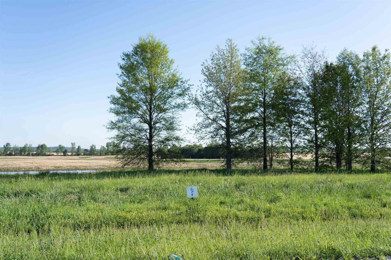 Lot 9 Bluegrass - Photo 1
