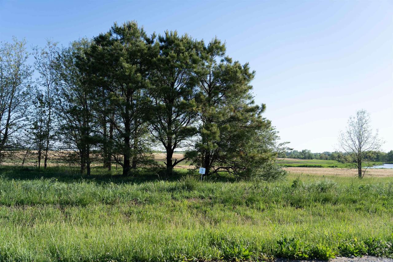 Lot 17 Bluegrass - Photo 1