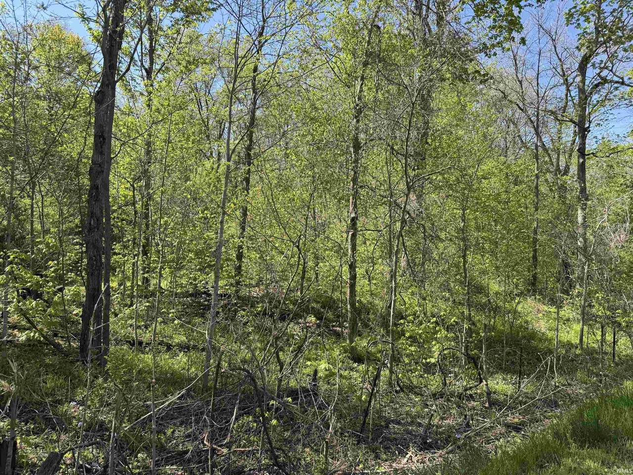 TBD Cleveland Road - Photo 1