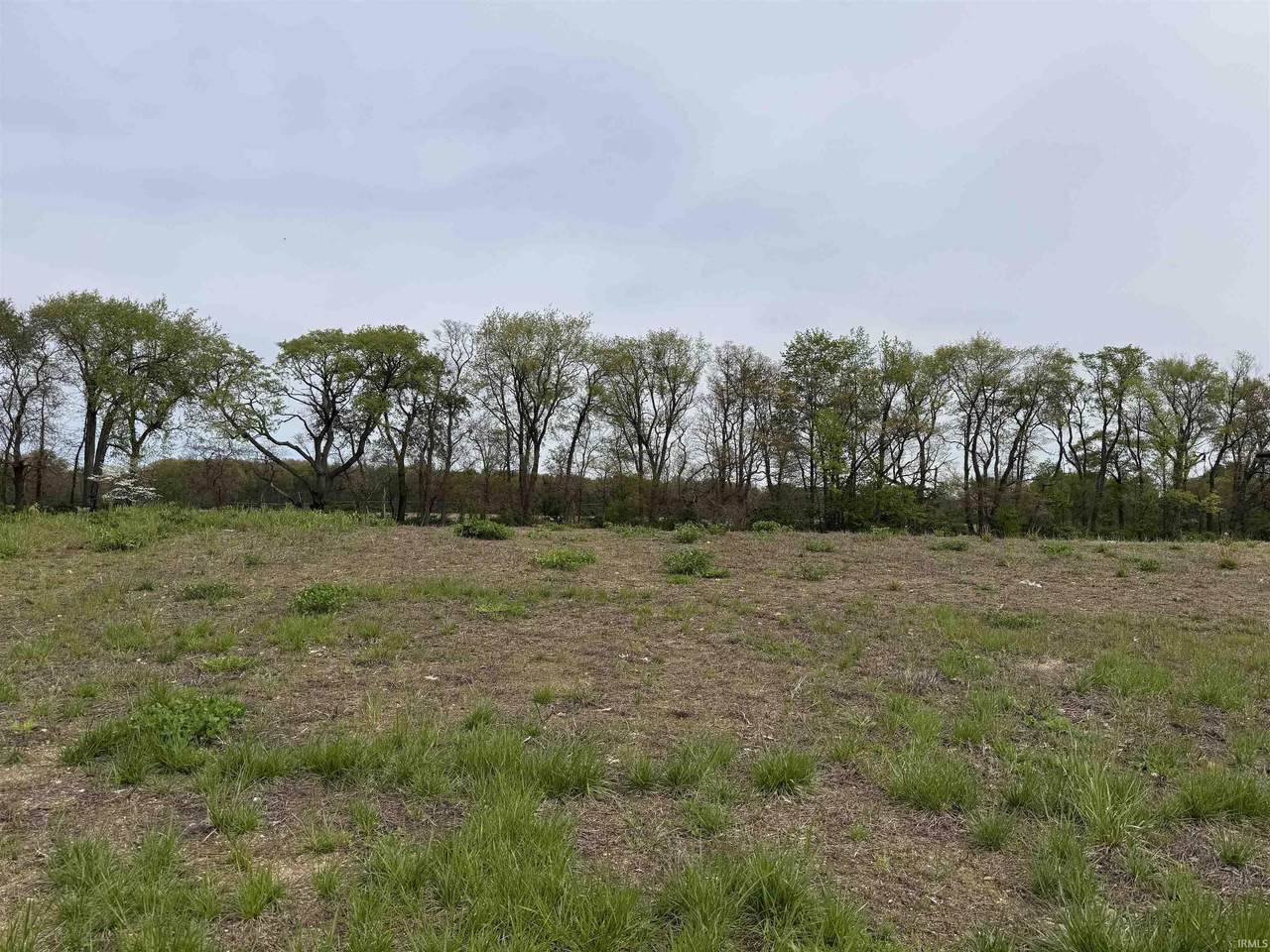 15095 Gossamer Lot 10 Trail - Photo 1