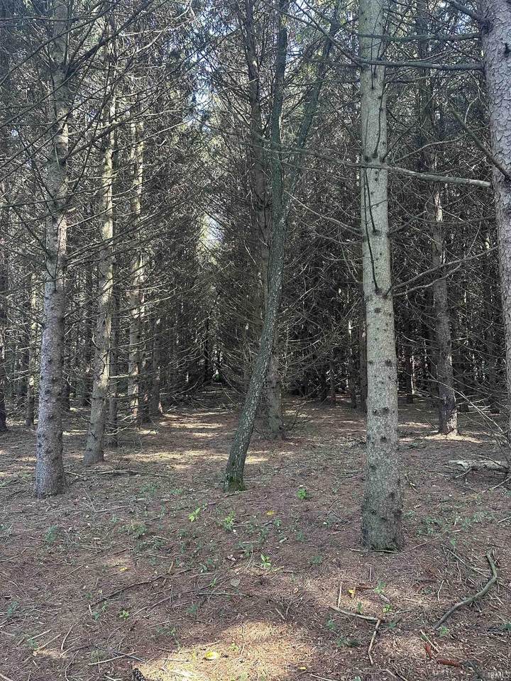 https://bt-photos.global.ssl.fastly.net/irmls/1280_boomver_1_202618263-2.jpg