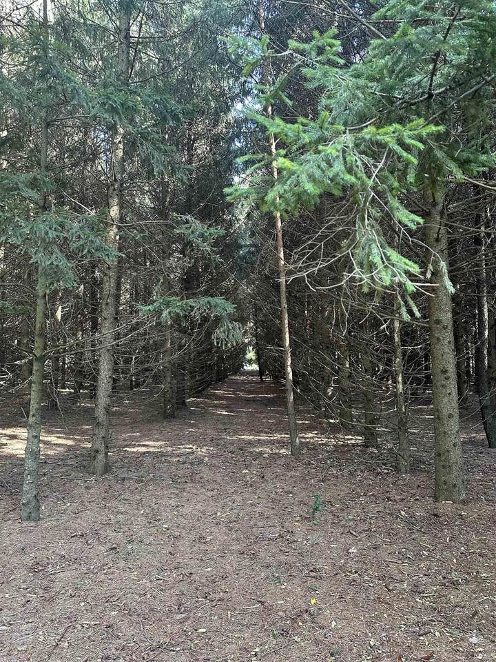 https://bt-photos.global.ssl.fastly.net/irmls/1280_boomver_1_202618263-2.jpg