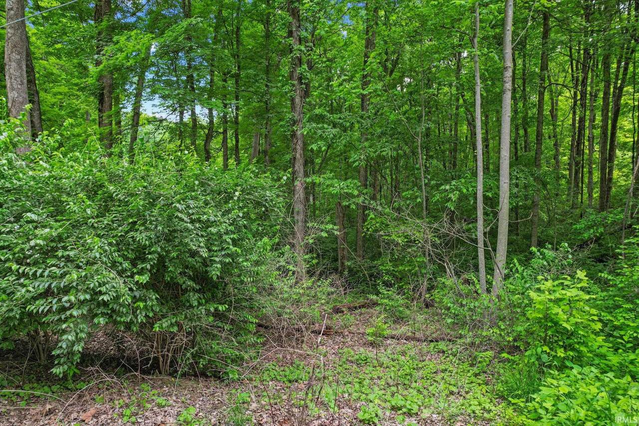 https://bt-photos.global.ssl.fastly.net/irmls/1280_boomver_1_202618657-2.jpg