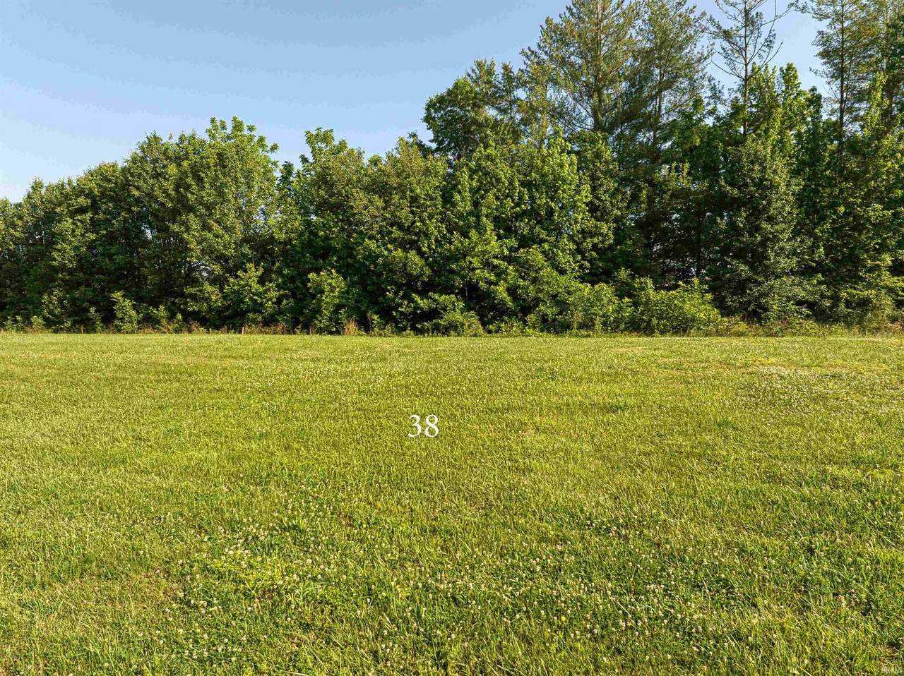 8141 Blessing Way - Photo 1