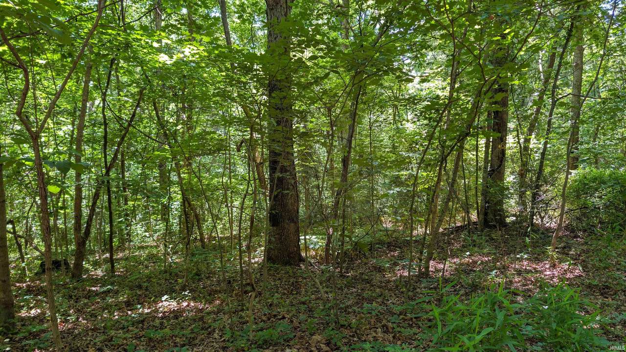 Lot 16 Bell Hollow Road - Photo 1