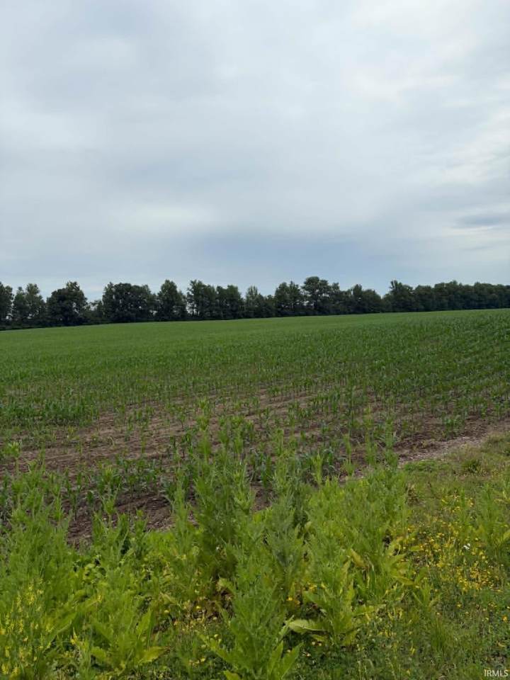 8501 Decatur Road - Photo 1