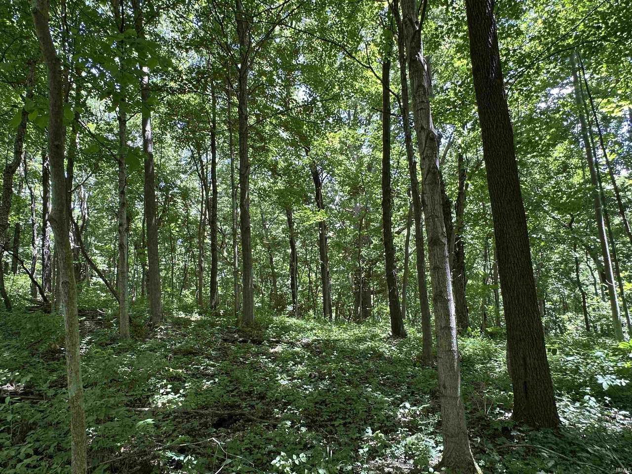4645 West County Line Road - Photo 1