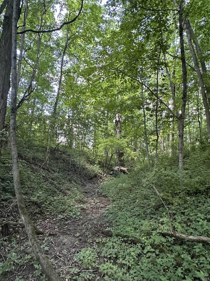 https://bt-photos.global.ssl.fastly.net/irmls/1280_boomver_1_202625899-2.jpg