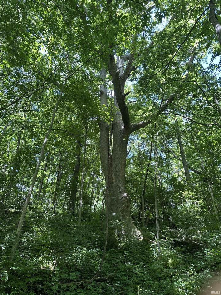 https://bt-photos.global.ssl.fastly.net/irmls/1280_boomver_1_202625899-2.jpg