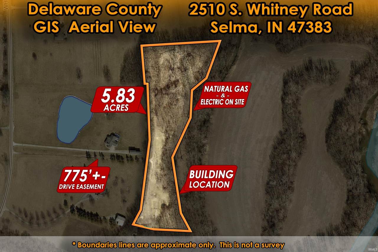 2510 Whitney Road - Photo 1