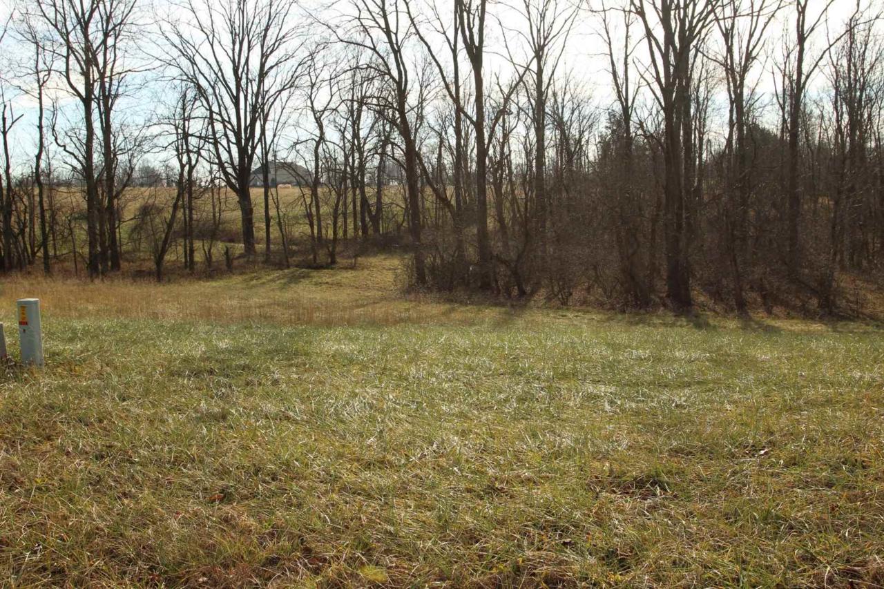 1608 Tierney (Lot 43) Street - Photo 1