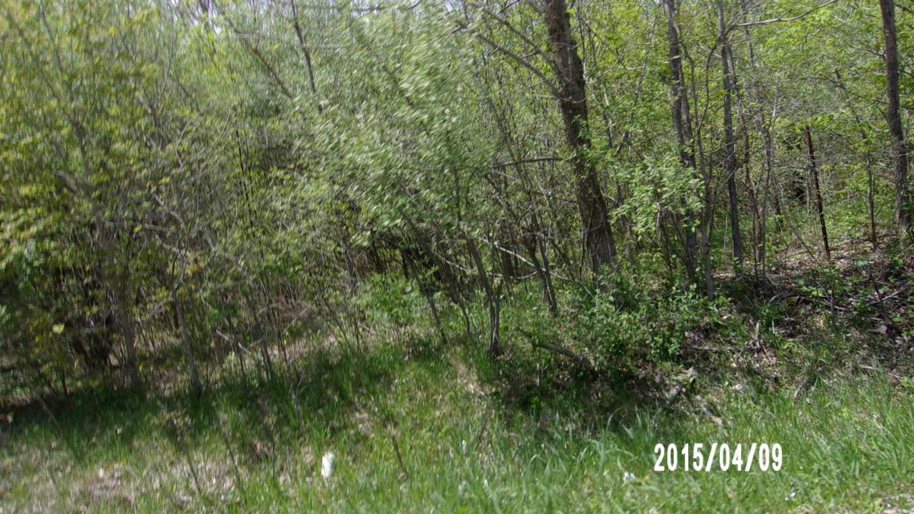 TBD W Us Hwy 136 Highway - Photo 1