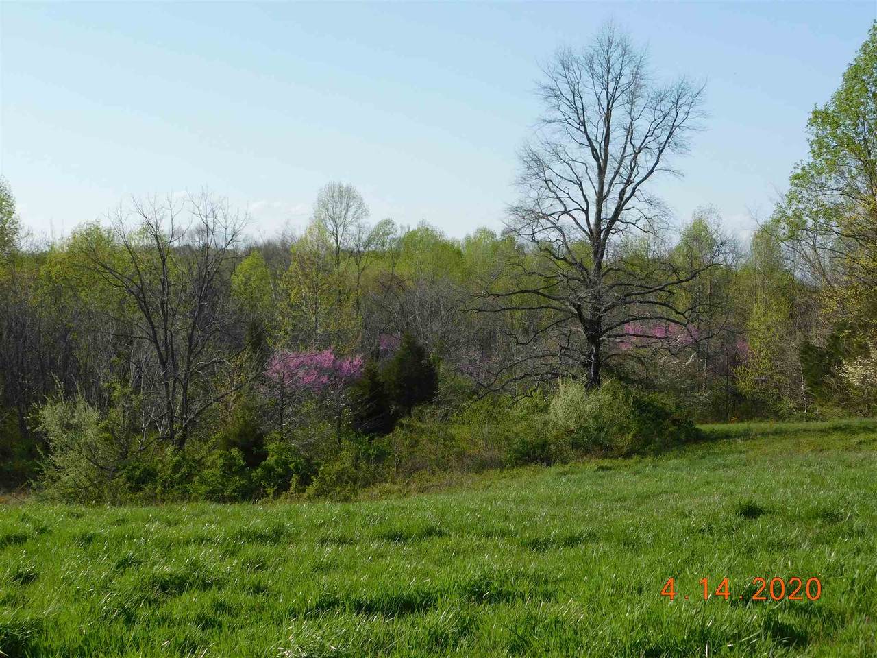 210 Zoo Road - Photo 1 210 Zoo Road - Photo 1