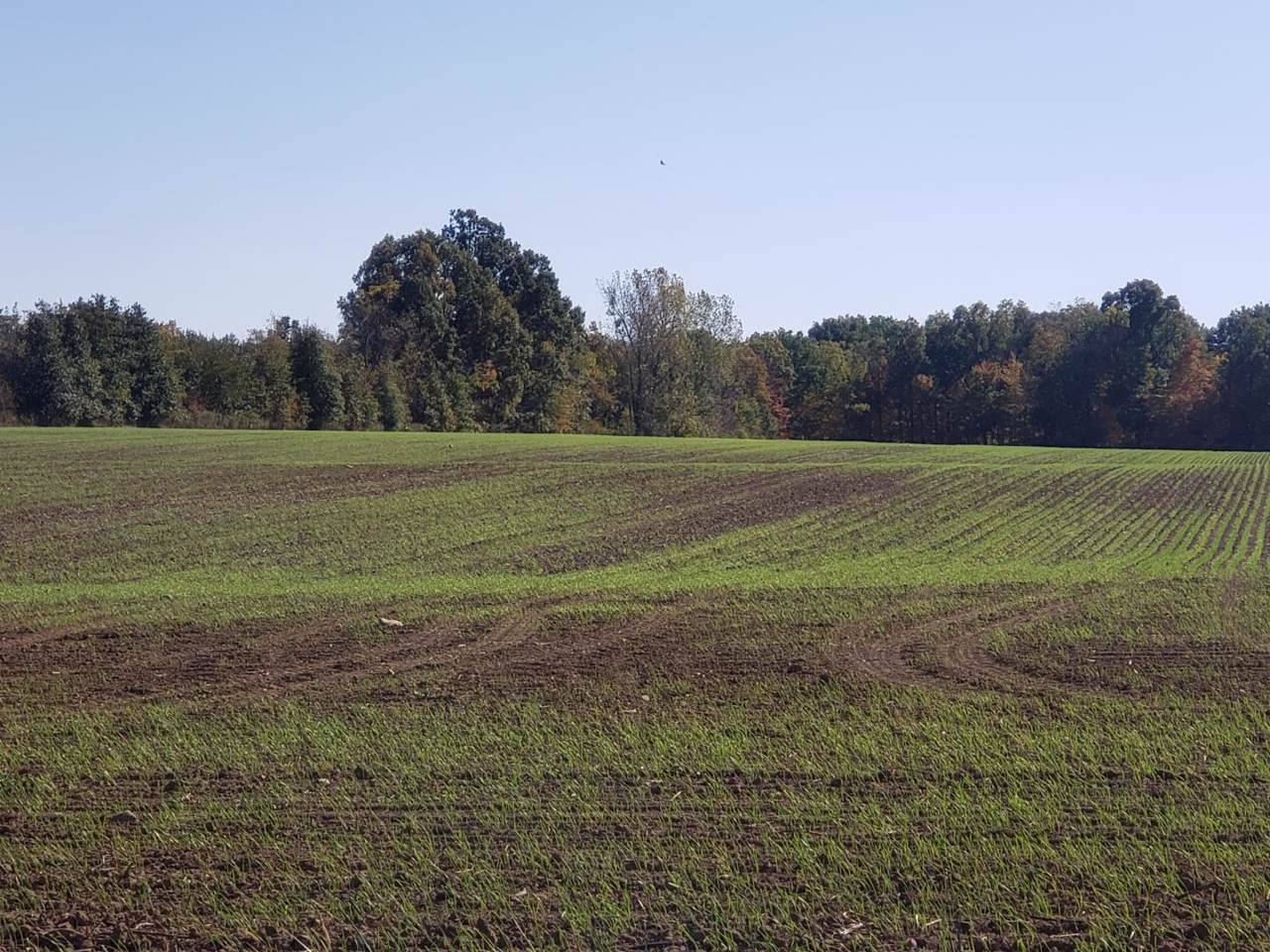 0 Bradford Pike - Photo 1