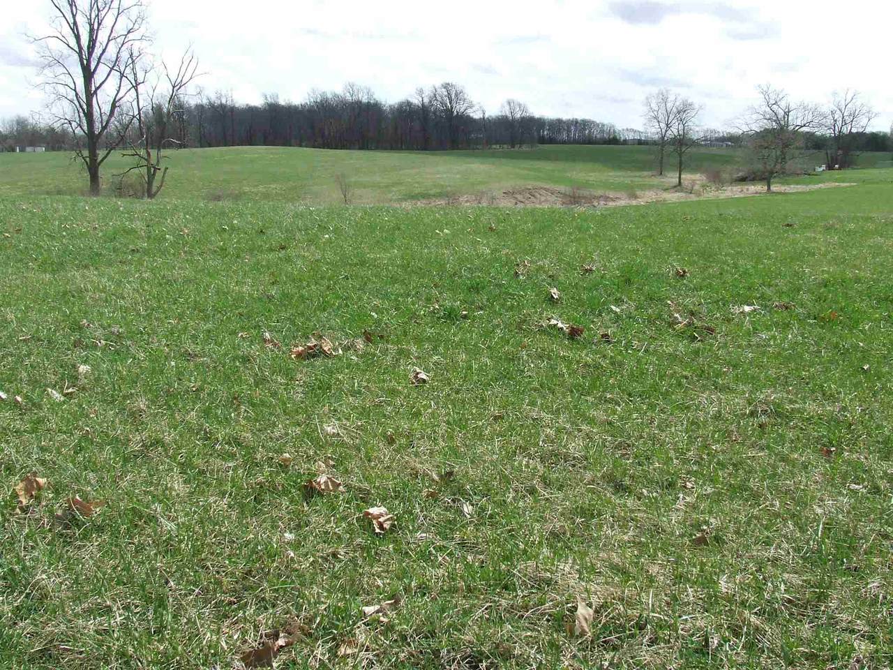 1298 Stintson Drive - Photo 1
