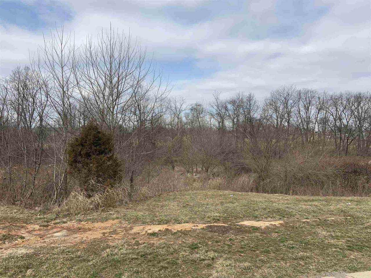 TBD Lot 10 Fellowship Drive - Photo 1