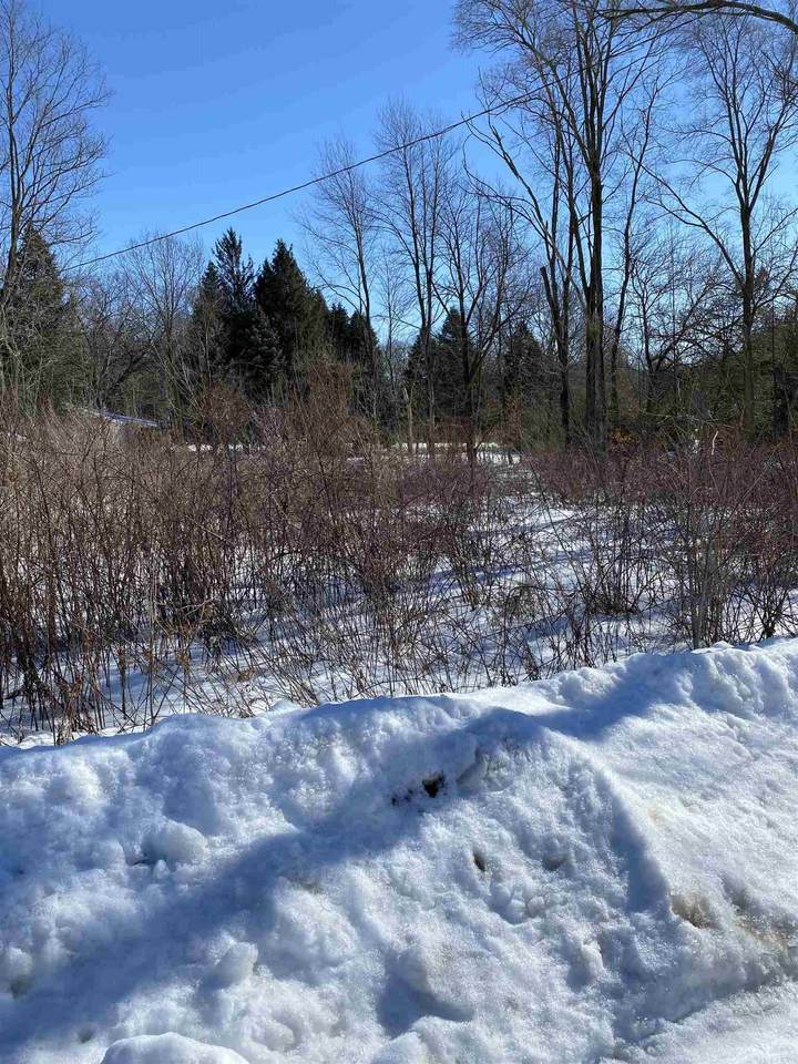 58 & 59 Windsor Avenue - Photo 1